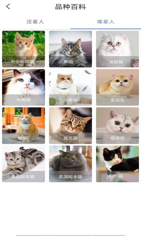 优宠快报-插图1 优宠快报-插图1