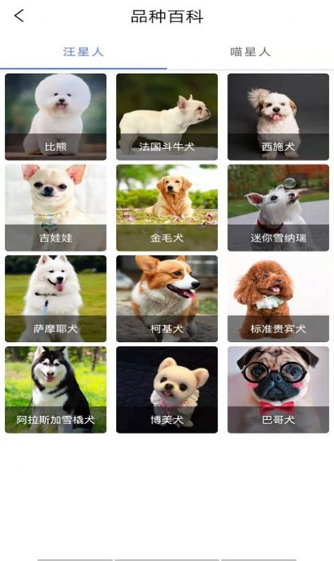 优宠快报-插图2 优宠快报-插图2