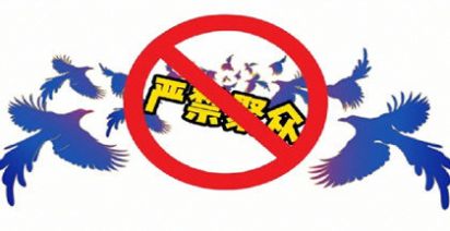 七夕取消的紧急通知图片表情包-插图1 七夕取消的紧急通知图片表情包-插图1