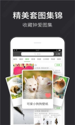全自动壁纸app-插图2
