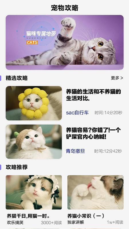 可爱喵喵壁纸大全app-插图1 可爱喵喵壁纸大全app-插图1