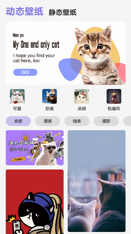 可爱喵喵壁纸大全app-插图1 可爱喵喵壁纸大全app-插图1