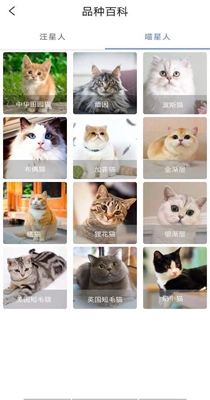 贝贝宠物百科-插图1 贝贝宠物百科-插图1