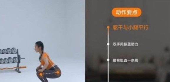 AI健身-插图1 AI健身-插图1