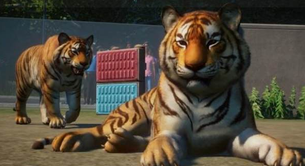 动物园之星手机版-插图1 动物园之星手机版-插图1