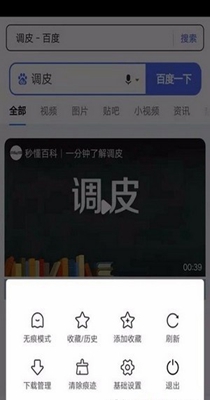 灵猫浏览器-插图2