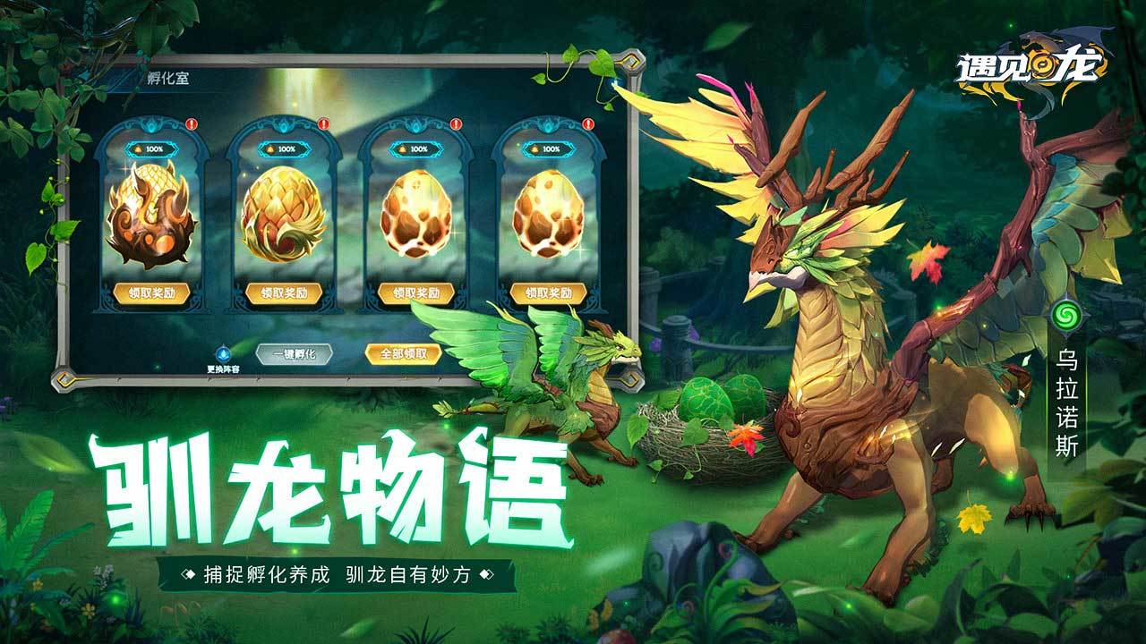 遇见龙测试服-插图1