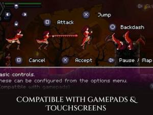 Toziuha Night-插图2