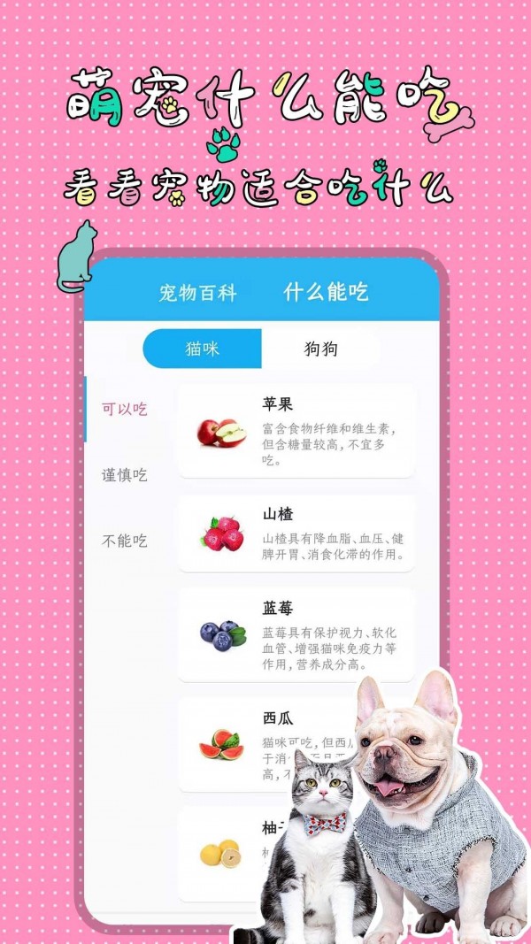 人猫人狗翻译交流器app-插图1