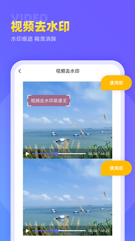 视频去水印极速王-插图2