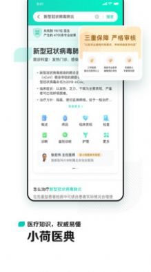 小荷-插图2