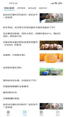 养猪富豪-插图1