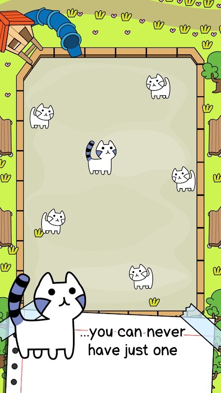 猫咪进化疯狂合并-插图2 猫咪进化疯狂合并-插图2