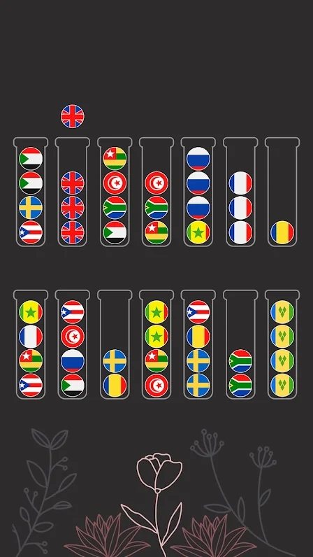 彩球排序拼图-插图1 彩球排序拼图-插图1