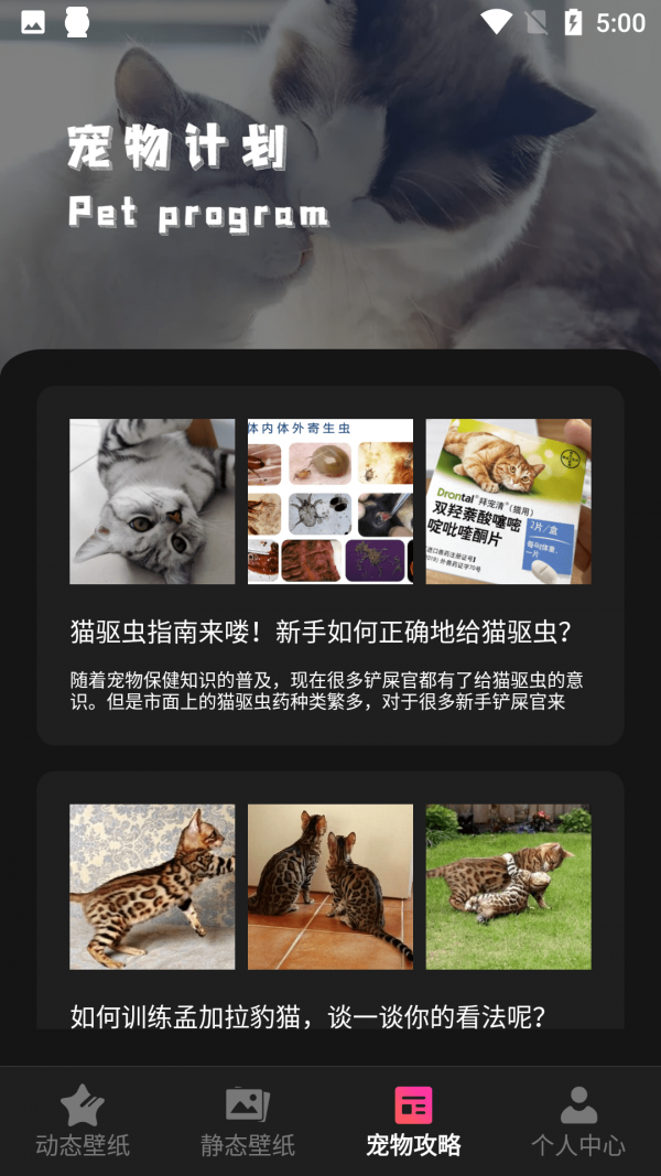 猫咪壁纸-插图1