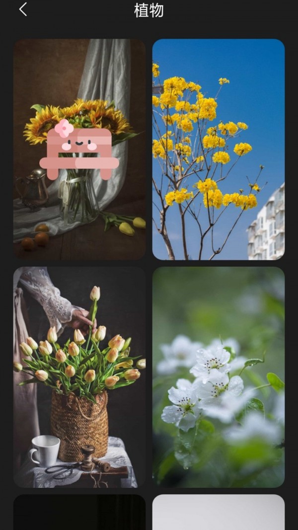 布丁壁纸-插图2