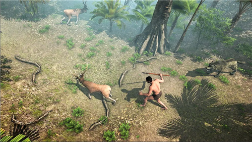 荒岛海滩幸存者-插图1