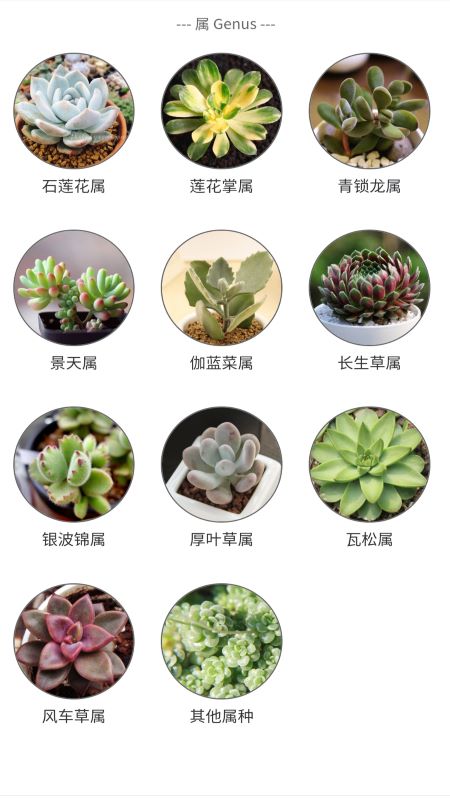 多肉植物陪护记app-插图1