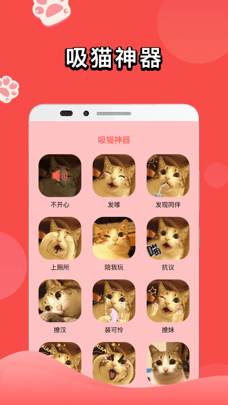 和猫对话app-插图1