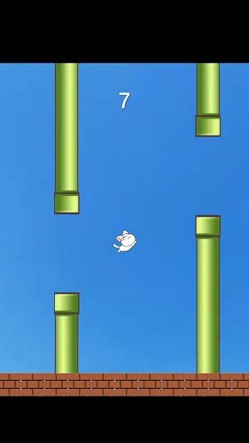 元气猫咪游戏-插图1