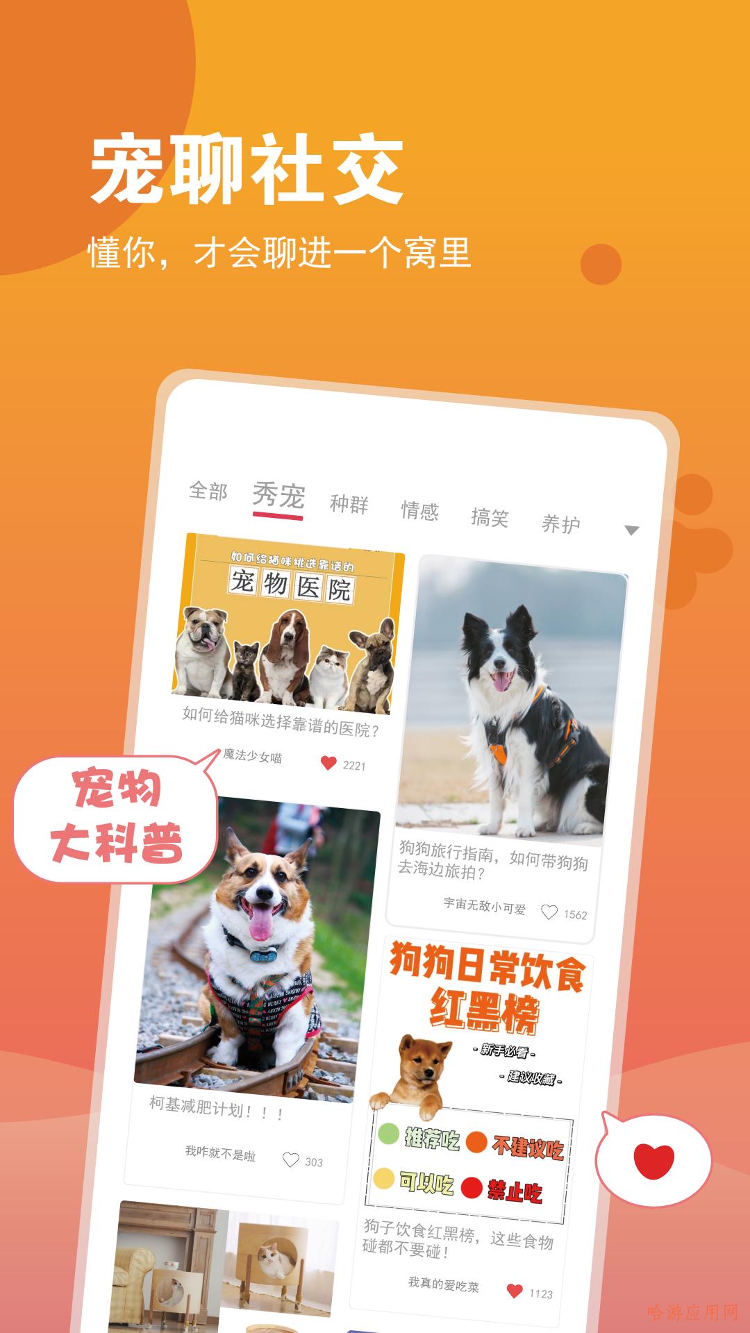 SHOW宠么-插图1
