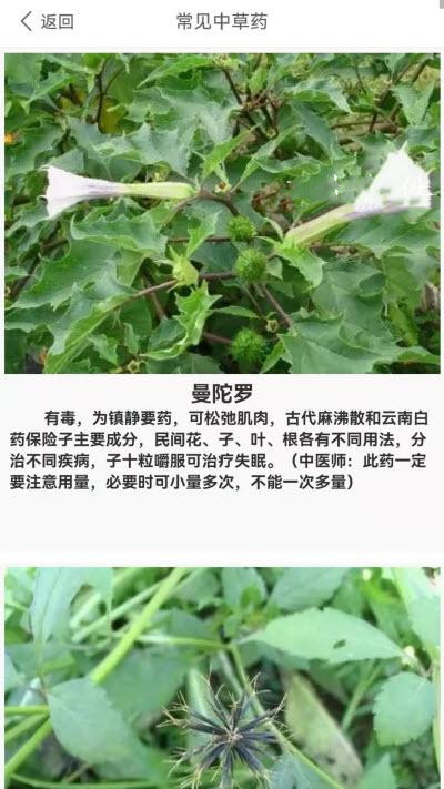 养生健康减肥-插图2