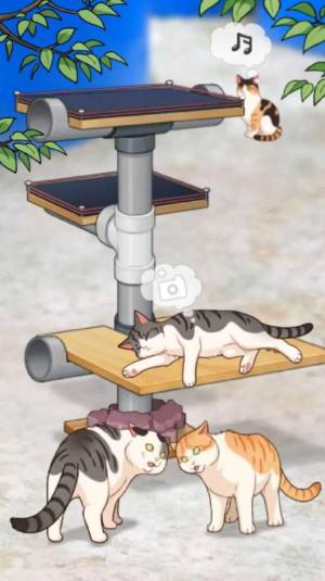 Haha渔场猫咪-插图1