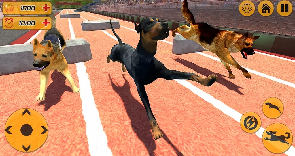 警犬跨栏冲刺-插图2 警犬跨栏冲刺-插图2