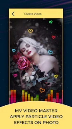 MV视频大师-插图1