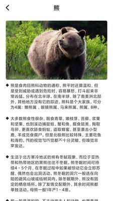 最强动物园-插图2