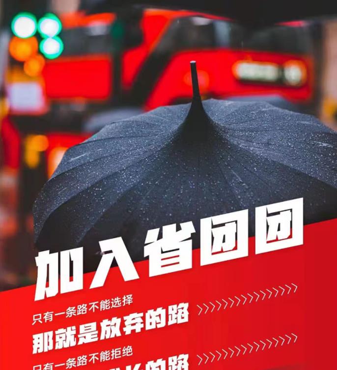 省团团app-插图2