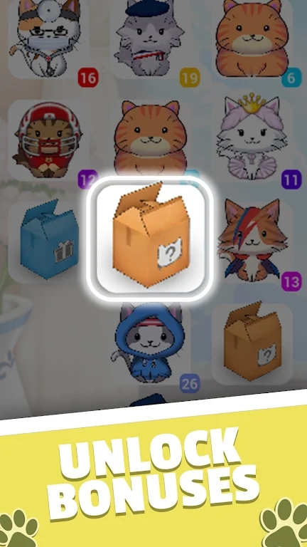 凯蒂合并-插图2