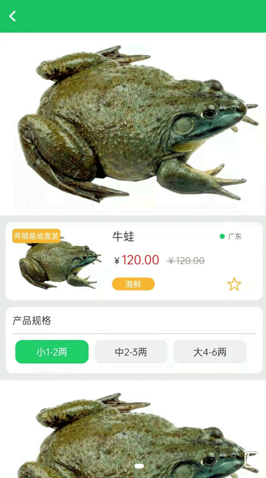 晓能批发app-插图1