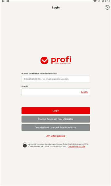 profi-插图2