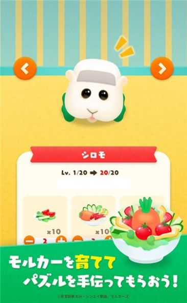 集合摩尔卡游戏-插图2