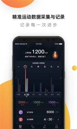 黑蜂运动-插图2