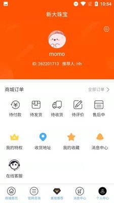 新大珠宝-插图1