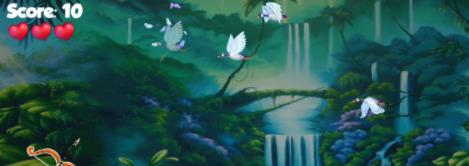 射鸭射鸟-插图2