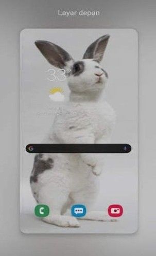 New Rabbit wallpaper-插图1
