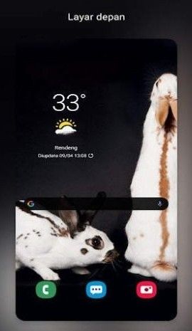 New Rabbit wallpaper-插图2