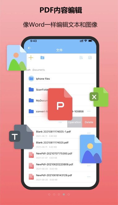 金闪PDF-插图2 金闪PDF-插图2