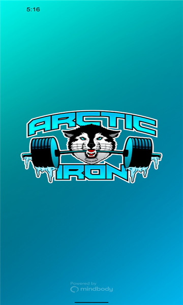 Arctic Iron-插图2