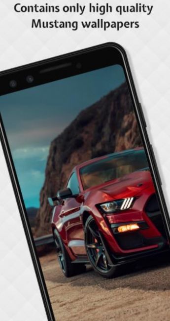 Mustang Wallpapers HD-插图2