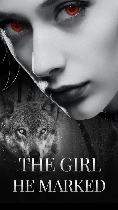 storysome小说阅读