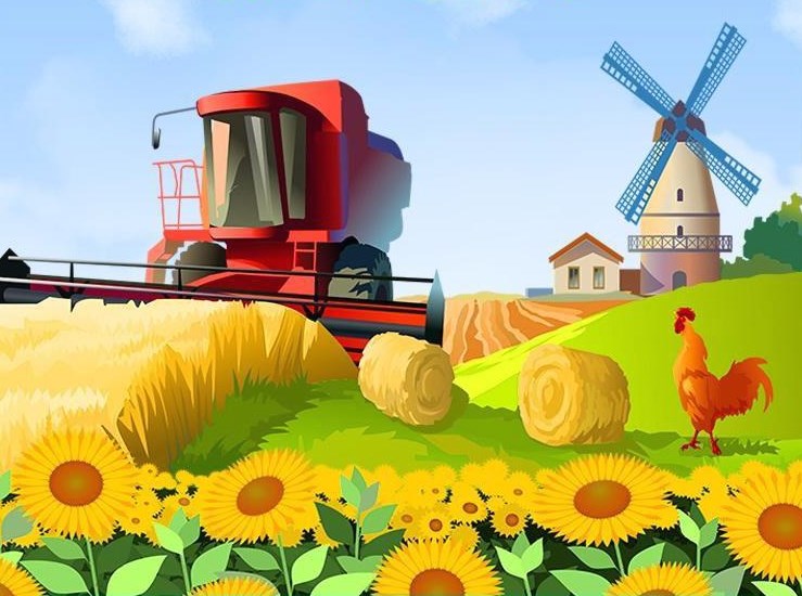 荣帮农业首码 荣帮农业首码