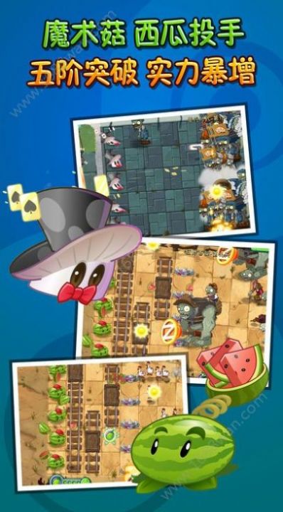 pvz雷最新版