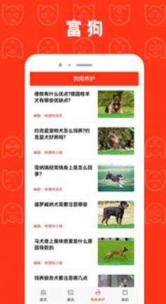 富狗