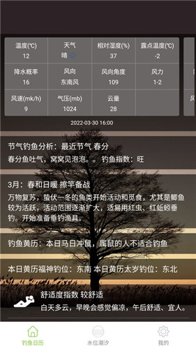 嘿嘿猫