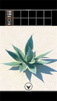 海上荒岛逃生（Island2）