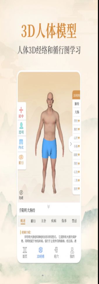 经络穴位艾灸大夫